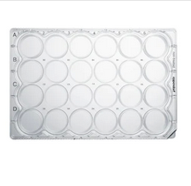 德國艾本德(Eppendorf)Cell Culture Plates,24-Well,無菌無熱原,無RNase和DNase,無人類和細菌DNA,無細胞毒素,TC處理,1mL,60塊,獨立包裝