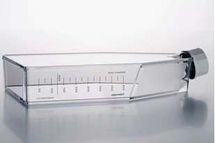 德國(guó)艾本德(Eppendorf)Cell Culture FlasksT-175,無(wú)菌無(wú)熱原,無(wú)RNase和DNase,無(wú)人類(lèi)和細(xì)菌DNA,無(wú)細(xì)胞毒素,帶濾膜透氣蓋,TC處理,30.0mL